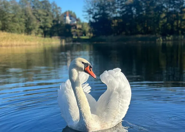 Przestrzen Mazury * Bagienice